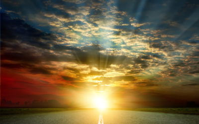 What will the New Year bring?