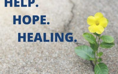 What We’re Doing, What’s in the Works, and How to Help