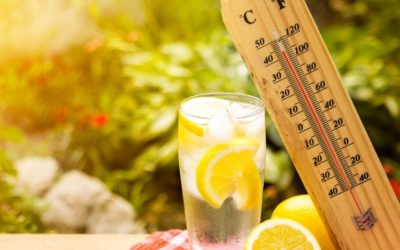 Summer Heat Safety for Seniors